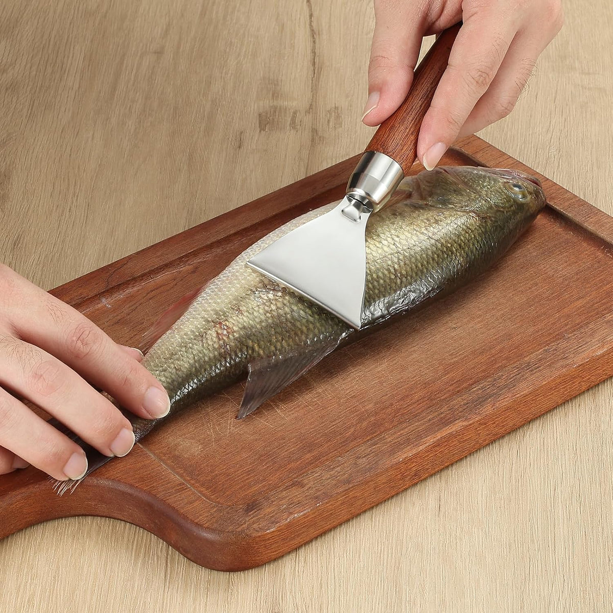 Fish Scaler Stainless Stee Fish Scale Remover Fish Descaler Fish Cleaner Fish Scraper Tool