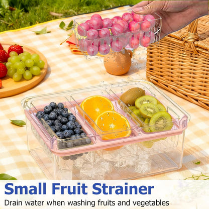 Sorgion Ice Chilled Condiment Caddy with Portable Handle, 5 Compartment Serving Tray with Built-in Bread Slicer and Ice Chamber, Clear Garnish Tray for Bar, Taco Party, BBQ, Picnic & Fruit Pink