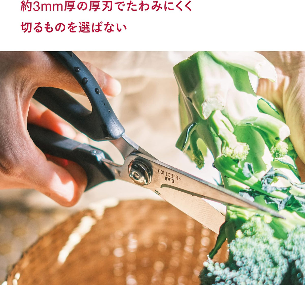 Kitchen Scissors (DH-3005)