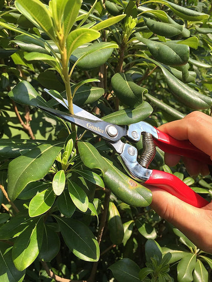 gonicc 8" Professional Premium Bypass Titanium Pruning Shears(GPPS-1003)