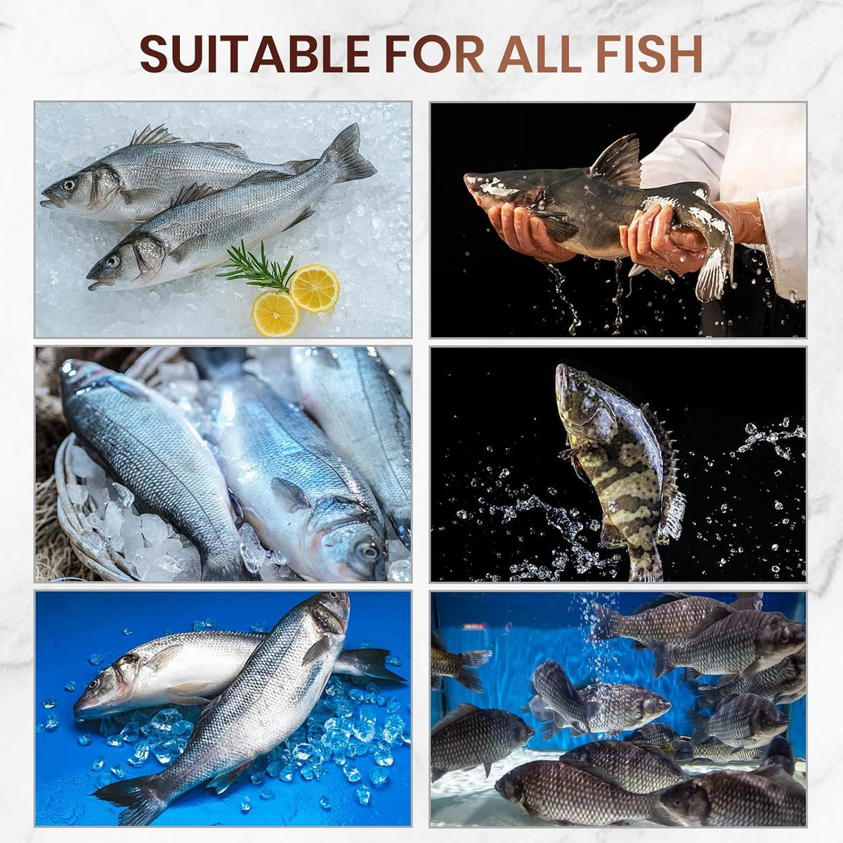 2026 NEW 304 Stainless Steel Fish Scaler Remover, Sharp Stainless Steel Fish Scaler,Sawtooth Fish Descaler Tool for Family Kitchen, Seafood Markets (2PCS) (1pcs)
