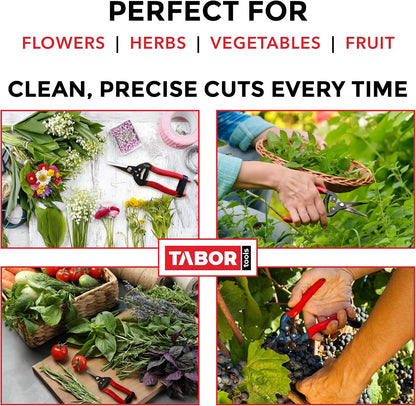 TABOR TOOLS K7A Pruning Snips – 7,5" – Carbon Steel Flower Pruning Scissors for Gardening | Floral Snips and Pruners for Deadheading, Trimming & Harvesting Herbs, Flowers, Fruits or Vegetables