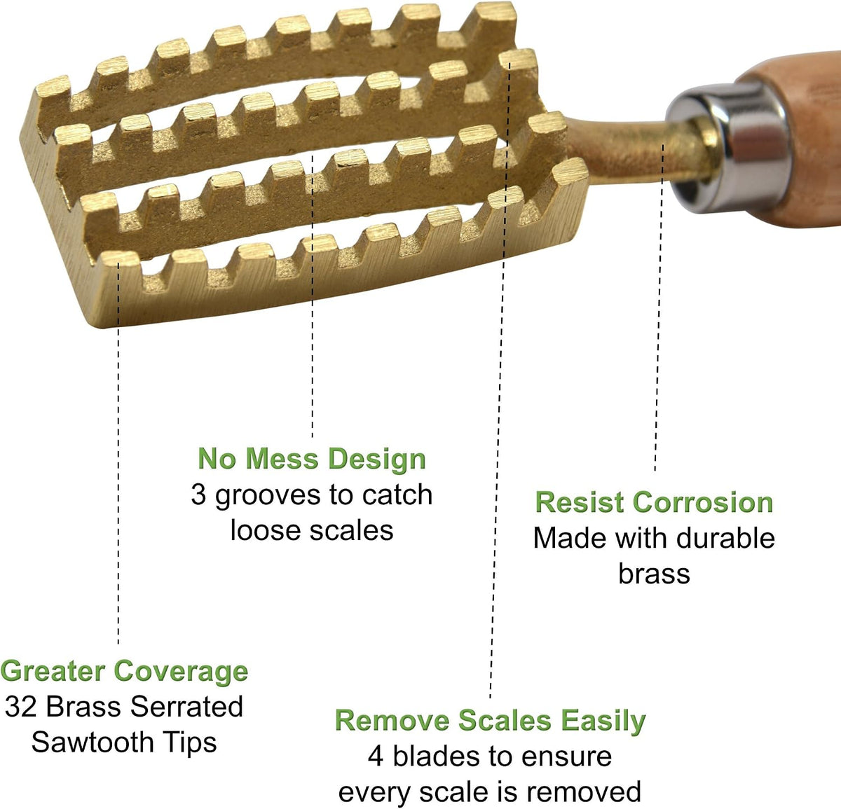 [Made in Japan] Fish Scaler Brush with Brass Serrated Sawtooth and Ergonomic Wooden Handle - Easily Remove Fish Scales Without Fuss Or Mess - Handcrafted by Japanese Artisans