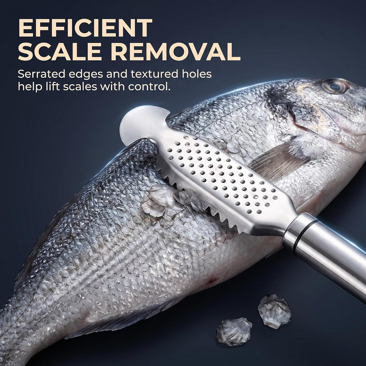1Pc Fish Scales Scraping Tool,Multifunction Stainless Steel Fish Scale Knife Fish Cleaning Kit,Fish Scale Peeler,Fish Descaler Tool,Fish Scaler Remover,Fish Scaler Fish Scale Removing Tool