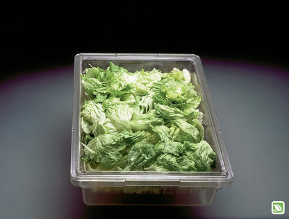 Rubbermaid Commercial Products Polycarbonate Food Storage Box/Tote, 2 Gallon, Clear, for Restaurant/Kitchen/Cafeteria
