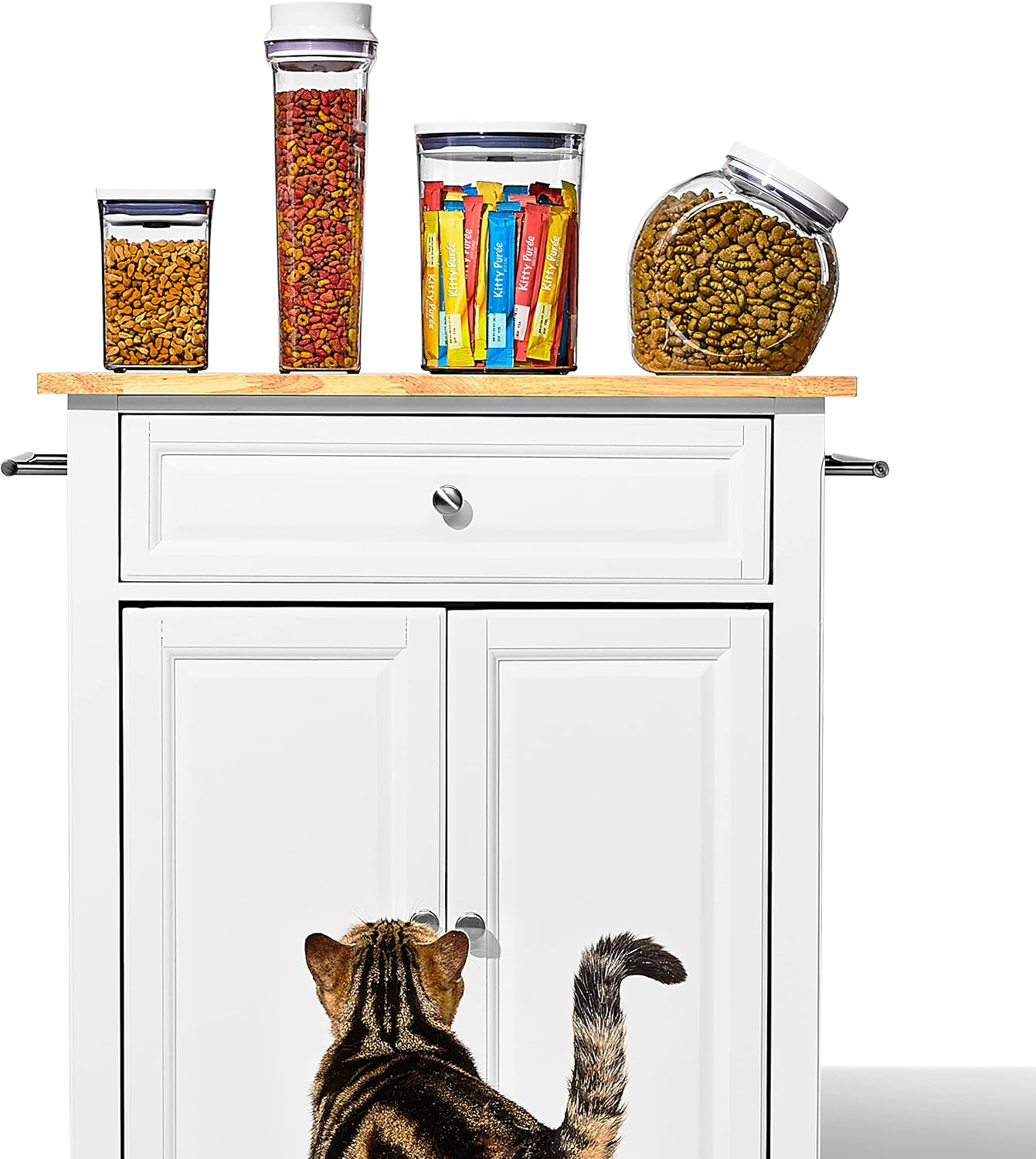 OXO Good Grips Pet POP Container – 6.0 Qt/5.7 L with Half Scoop, Ideal for up to 6.5lbs of Dog Food or 4.5lbs of Cat Food, Airtight Dog and Cat Food Storage Container, BPA Free, Clear