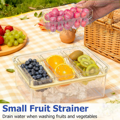 Sorgion Ice Chilled Condiment Caddy with Portable Handle, 5 Compartment Serving Tray with Built-in Bread Slicer and Ice Chamber, Clear Garnish Tray for Bar, Taco Party, BBQ, Picnic & Fruit Pink