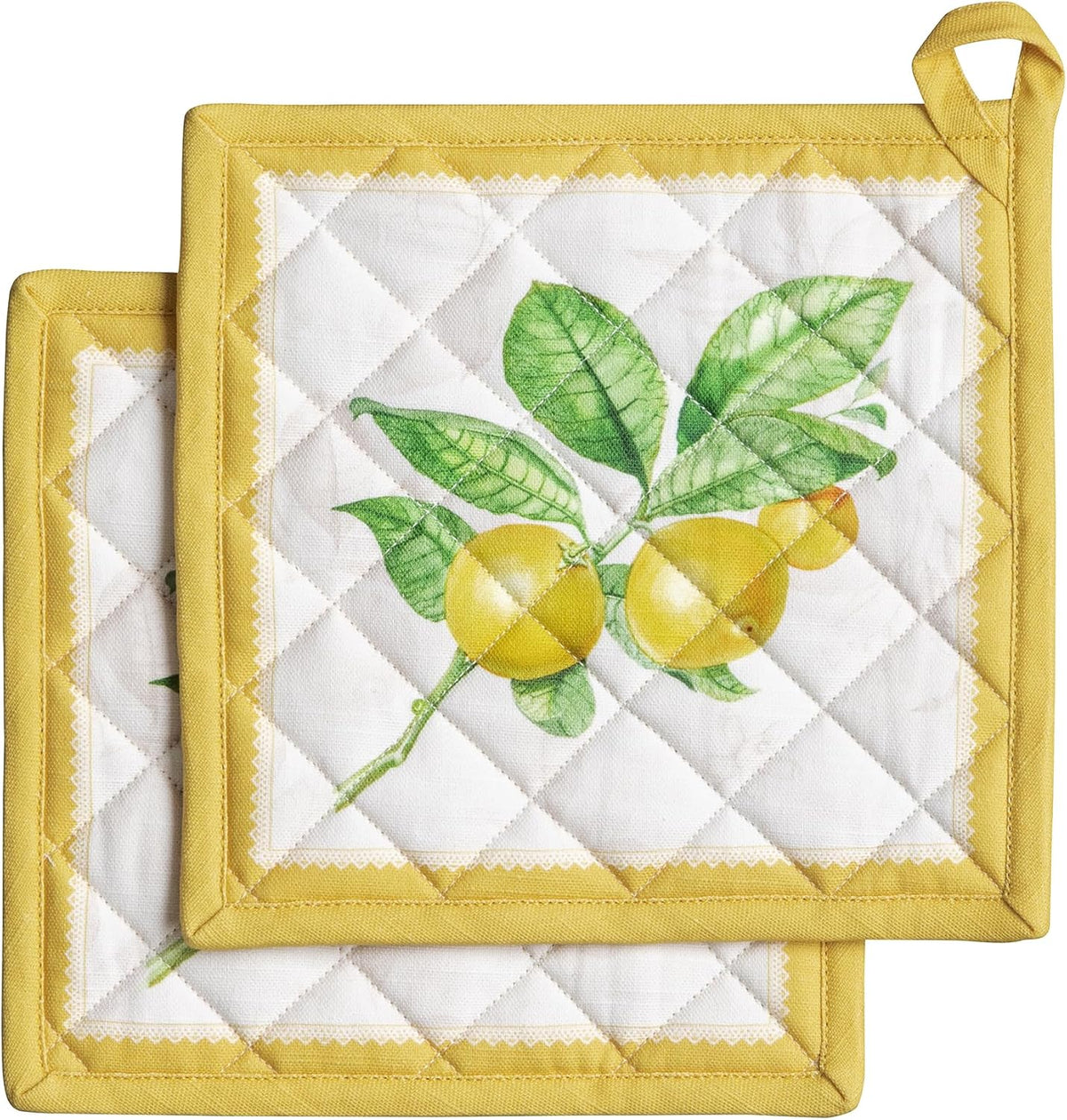 Maison d' Hermine Pot Holders 100% Cotton Potholders (8" x 8") - Colors B
