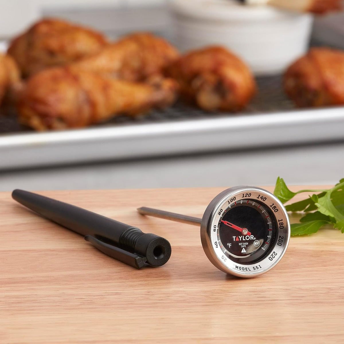 Taylor 1 Inch Instant Read Pocket Thermometer with Sleeve