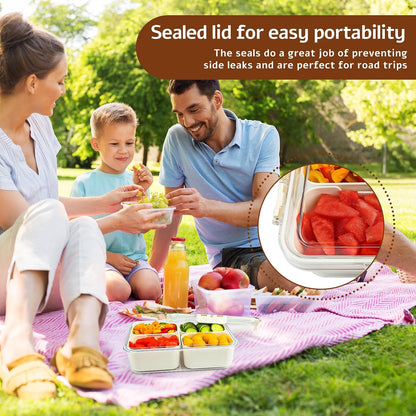 Snackle Box Container,2 Pack Divided Clear Snack Box Serving Tray with Lid and Handle,Charcuterie Board with Lid, Snack Organizer for Beach Picnic, Refrigerator Fresh, Party, Holidays and Travel