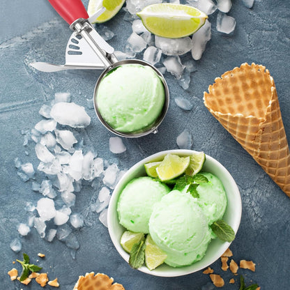 Reallnaive Ice Cream Scooper with Trigger, 4 oz, Gray