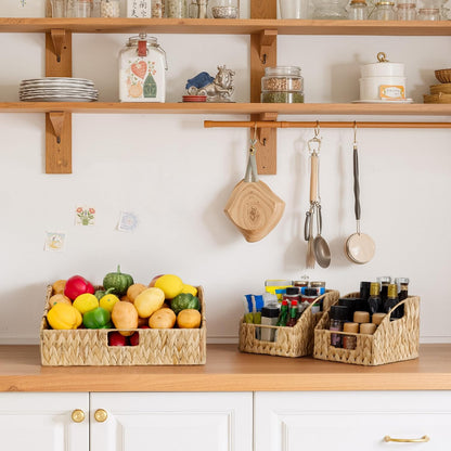 GRANNY SAYS Wicker Storage Baskets for Shelves, Trapezoid Woven Basket with Handles, Storage Wicker Baskets for Pantry, Water Hyacinth, 2-Pack