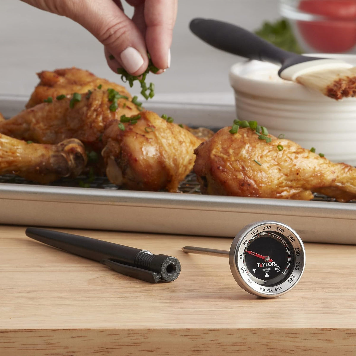 Taylor 1 Inch Instant Read Pocket Thermometer with Sleeve