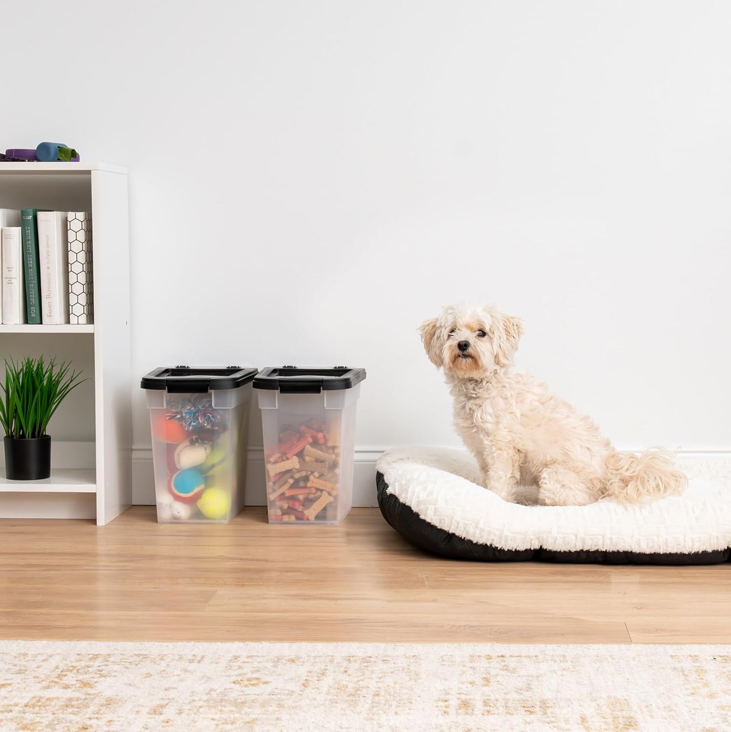 IRIS USA Dog Food Storage Container, 2 Pack, Up to 30 lbs Each, Airtight Seal for Freshness, Wheels for Rolling, Easy One Hand Opening, Made in USA, BPA Free, Clear/Black