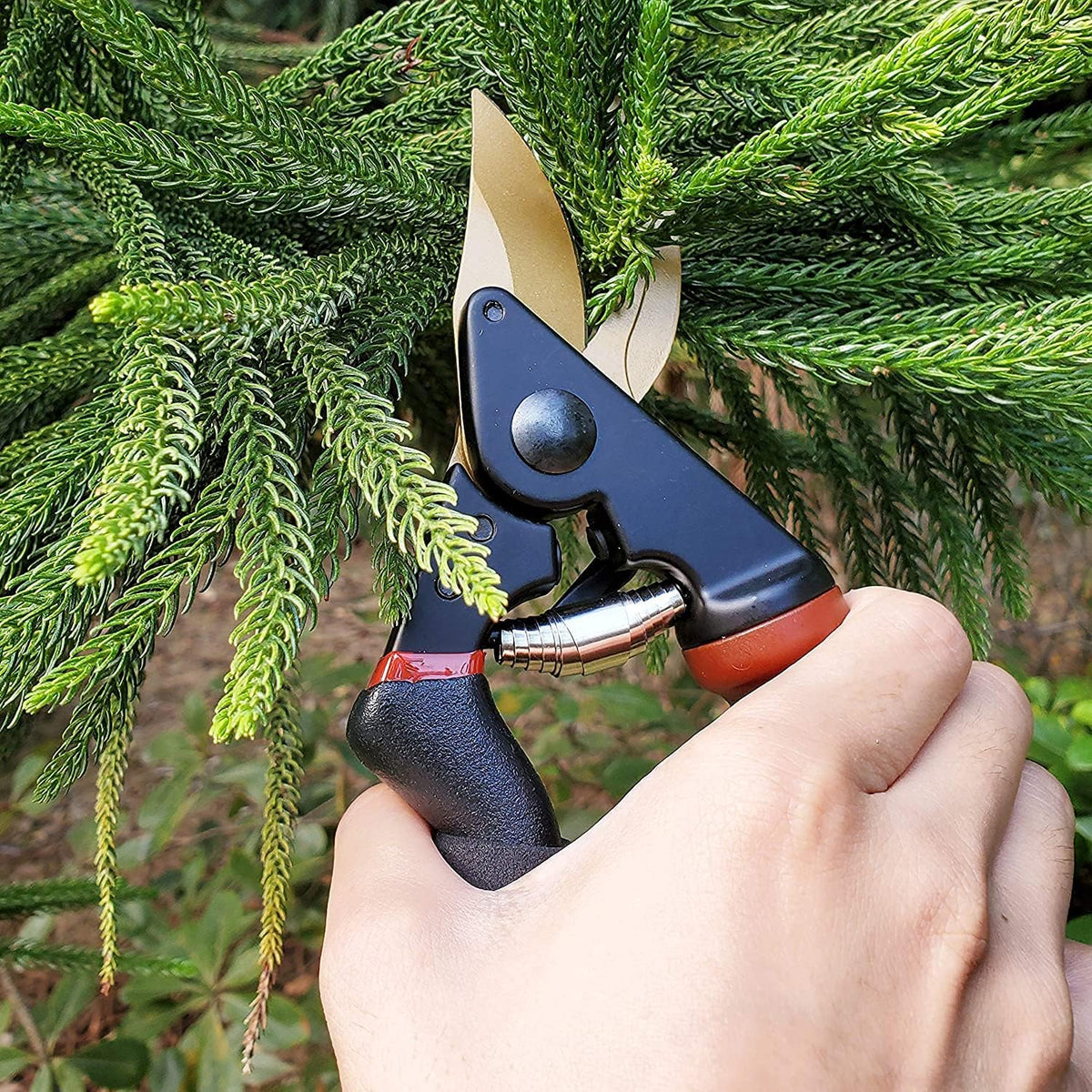 gonicc 8" Professional Premium Bypass Titanium Pruning Shears(GPPS-1003)