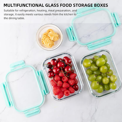 10 Pack 22 oz Glass Meal Prep Containers, Food Storage Containers with Lids, Airtight Leakproof Lunch Containers for Kitchen, Freezer, Microwave, Dishwasher Safe (Grey)