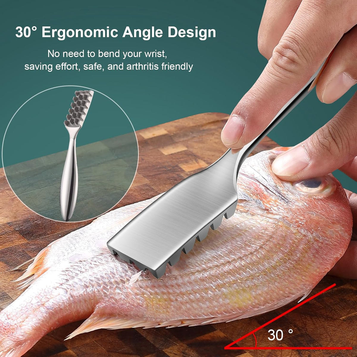 SUCCFLY Stainless Steel Fish Scaler, Wedge Sawtooth Fish Descaler Tool