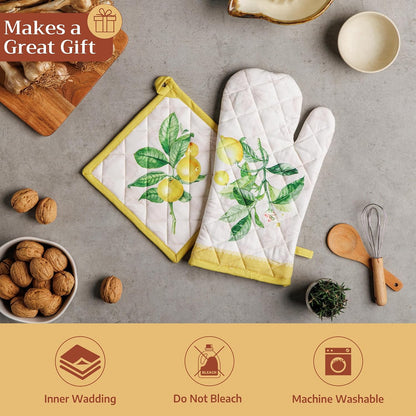Maison d' Hermine Pot Holders 100% Cotton Potholders (8" x 8") - Colors B
