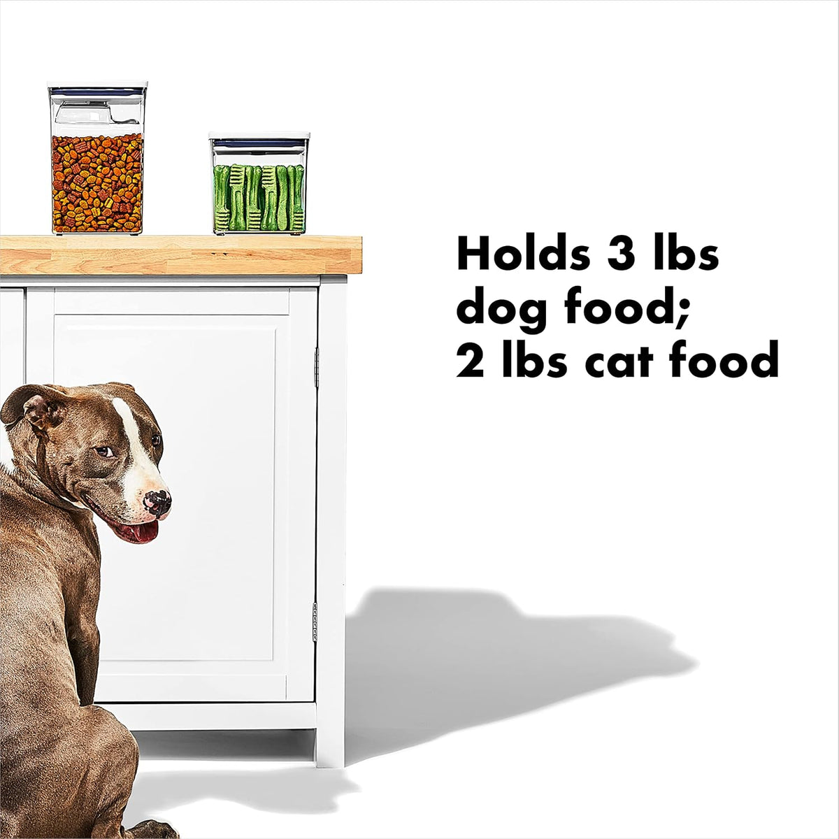 OXO Good Grips Pet POP Container – 6.0 Qt/5.7 L with Half Scoop, Ideal for up to 6.5lbs of Dog Food or 4.5lbs of Cat Food, Airtight Dog and Cat Food Storage Container, BPA Free, Clear