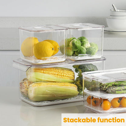 vacane 2 Pack Deli Meat Container for Fridge, Bacon Container with Lids for Refrigerator Fruit, Cold Cuts, Cheese Keeper Marinade Tray, Stackable Freezer Storage Containers