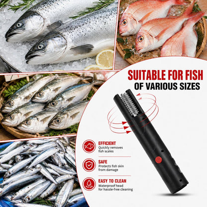 2-Pack Large Fish Scraper, 304 Stainless Steel Fish Scaler, Non-Slip Handle