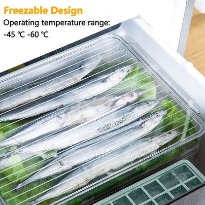vacane 2 Pack Deli Meat Container for Fridge, Bacon Container with Lids for Refrigerator Fruit, Cold Cuts, Cheese Keeper Marinade Tray, Stackable Freezer Storage Containers