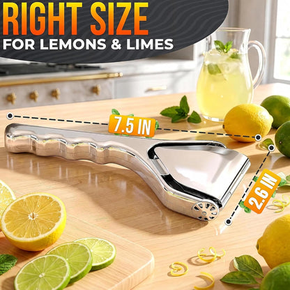 Fold Flat Lemon Squeezer Stainless Steel, Heavy Duty Citrus Juicer