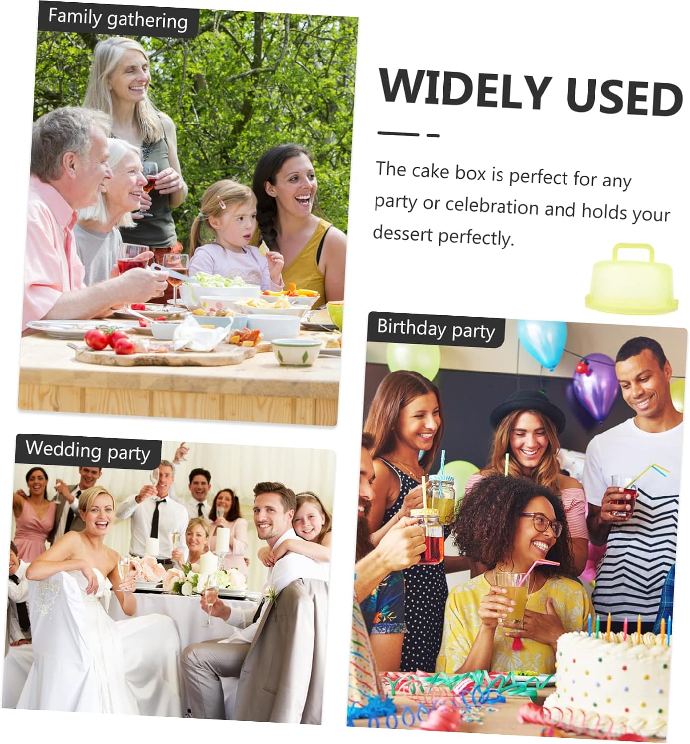 Portable Cake Carrier 9.84 Inch Transparent Plastic Cake Box with Handle and Lid for Household Baking Storage and Outdoor Transport