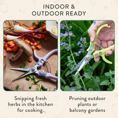 Modern Sprout Pruning Shears - Garden Snips - Herb Scissors - Sage 1-Pack
