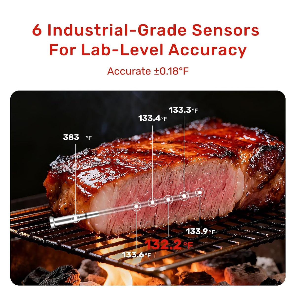 Wireless Meat Thermometer, WiFi & Bluetooth, Smart Base, 2 Probes