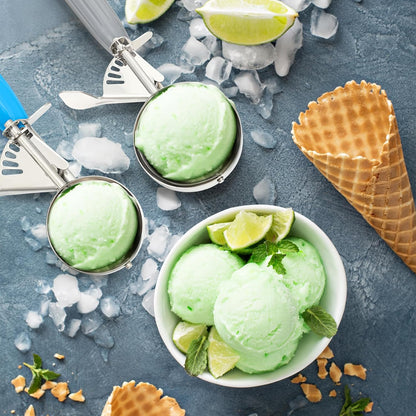 Reallnaive Ice Cream Scooper with Trigger, 4 oz, Gray