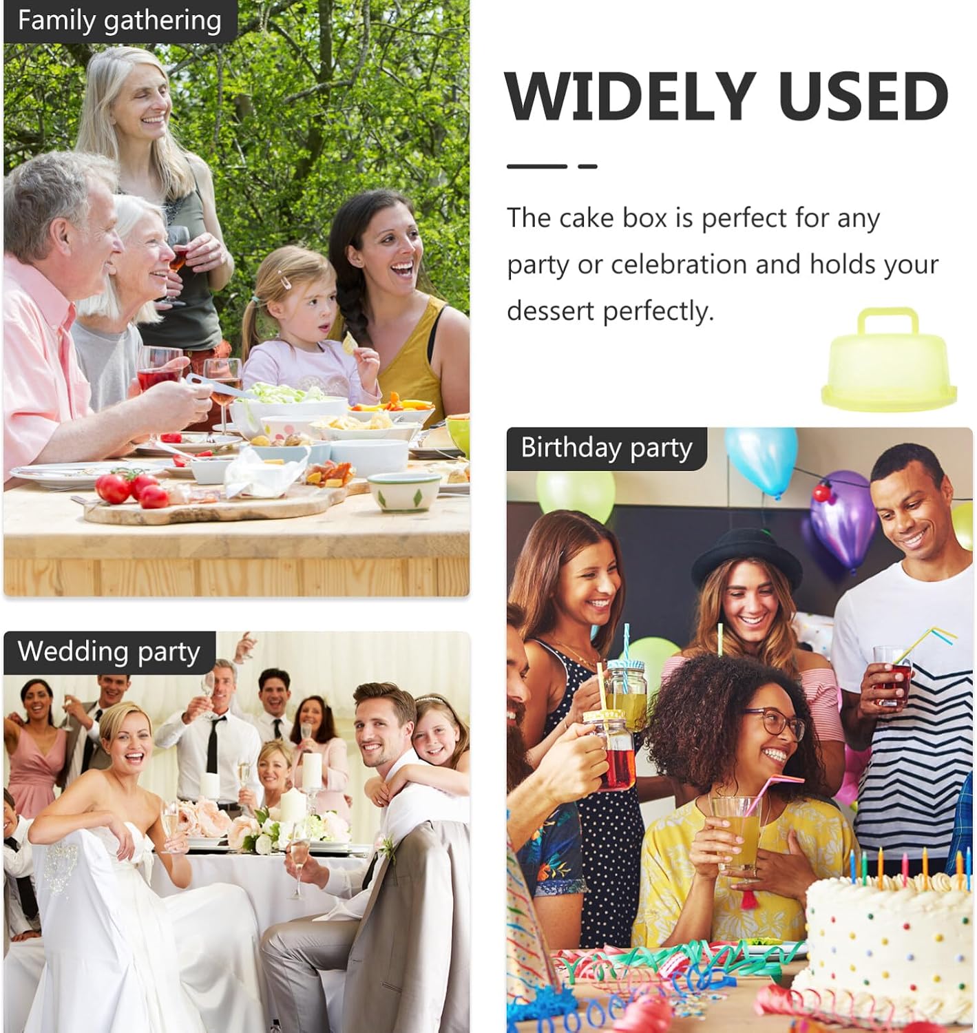 Lurrose Portable Cake Box Cake Carrier Portable Cake Case Cake Boxes Party Supply Household Cake Case Reusable Cake Holder Plastic Cake Carrying Case Kitchen Baking Tool