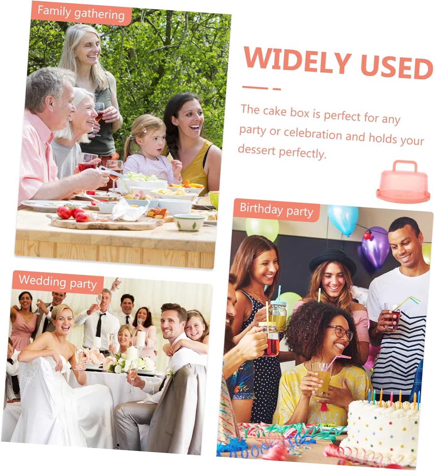 Portable Cake Carrier 9.84 Inch Transparent Plastic Cake Box with Handle and Lid for Household Baking Storage and Outdoor Transport