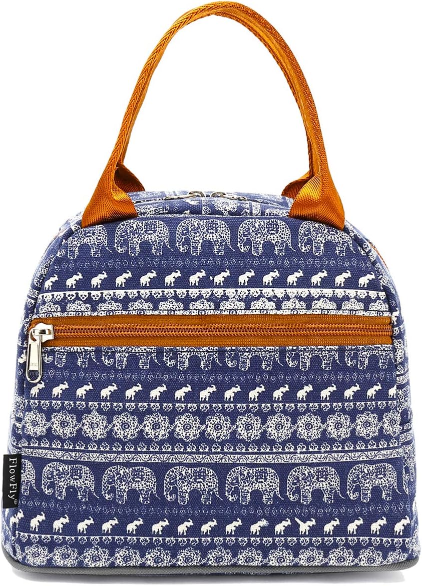 FlowFly Insulated Lunch Cooler Bag - Tote Bag Organizer for Women/Men, Black - Colors B