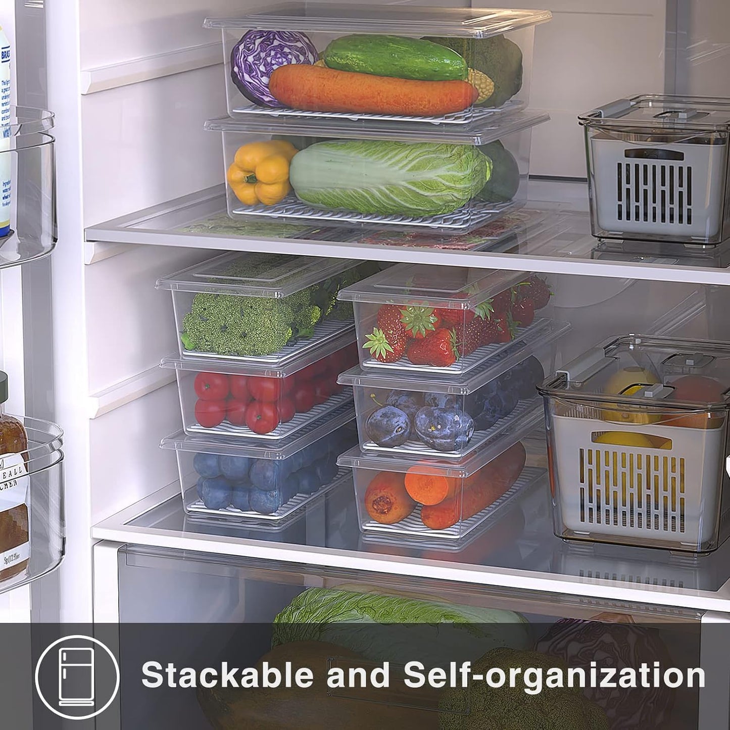 SILIVO Snackle Box Container - 9 Compartment Portable Divided Serving Tray with Lid and Handle,Clear Snack Organizer for Candy, Fruits, Nuts, Snacks - Perfect for Party, Travel and Entertaining