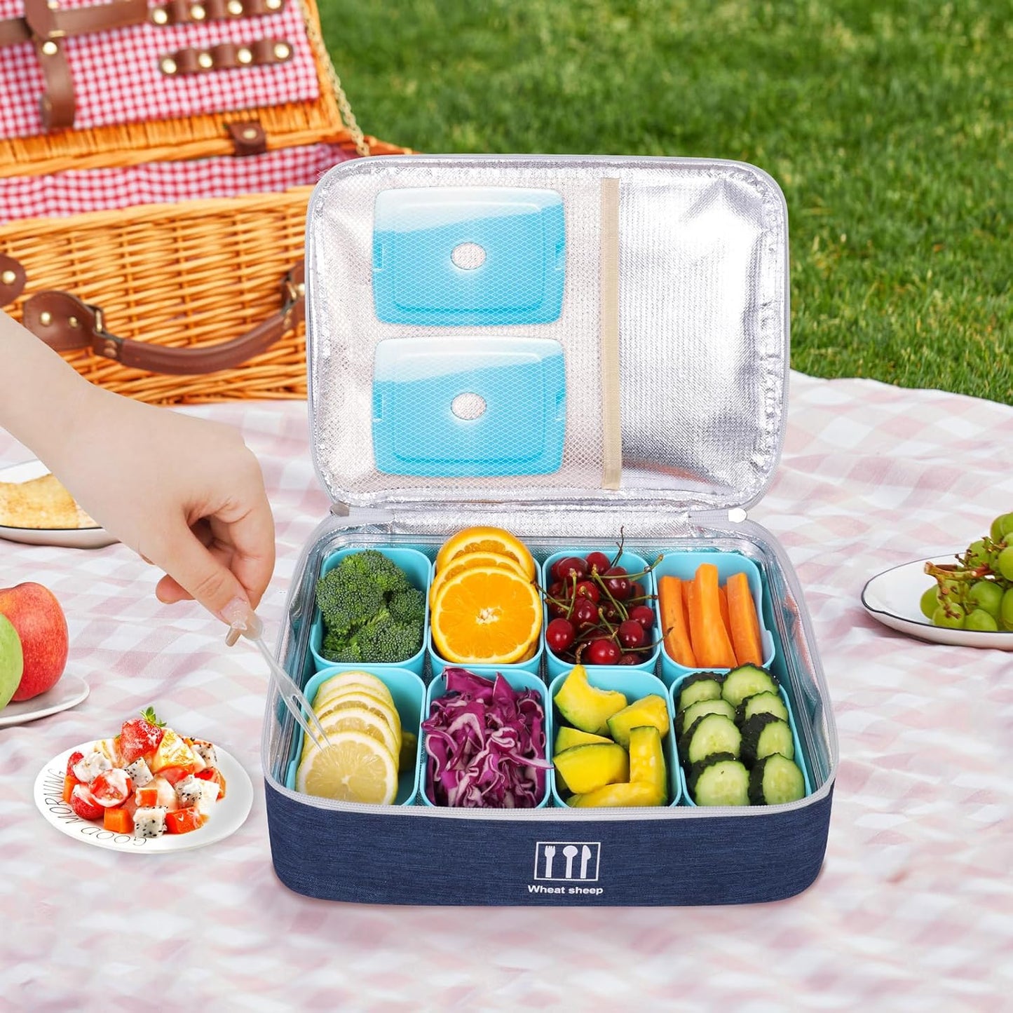 Snack Box Container with Insulated Cooler Bag, Divided Serving Tray with Lid and Handle Beach Essentials, Snackle Box Veggie Fruit Tray with 8 Compartments & 8 Forks & 2 Spoon