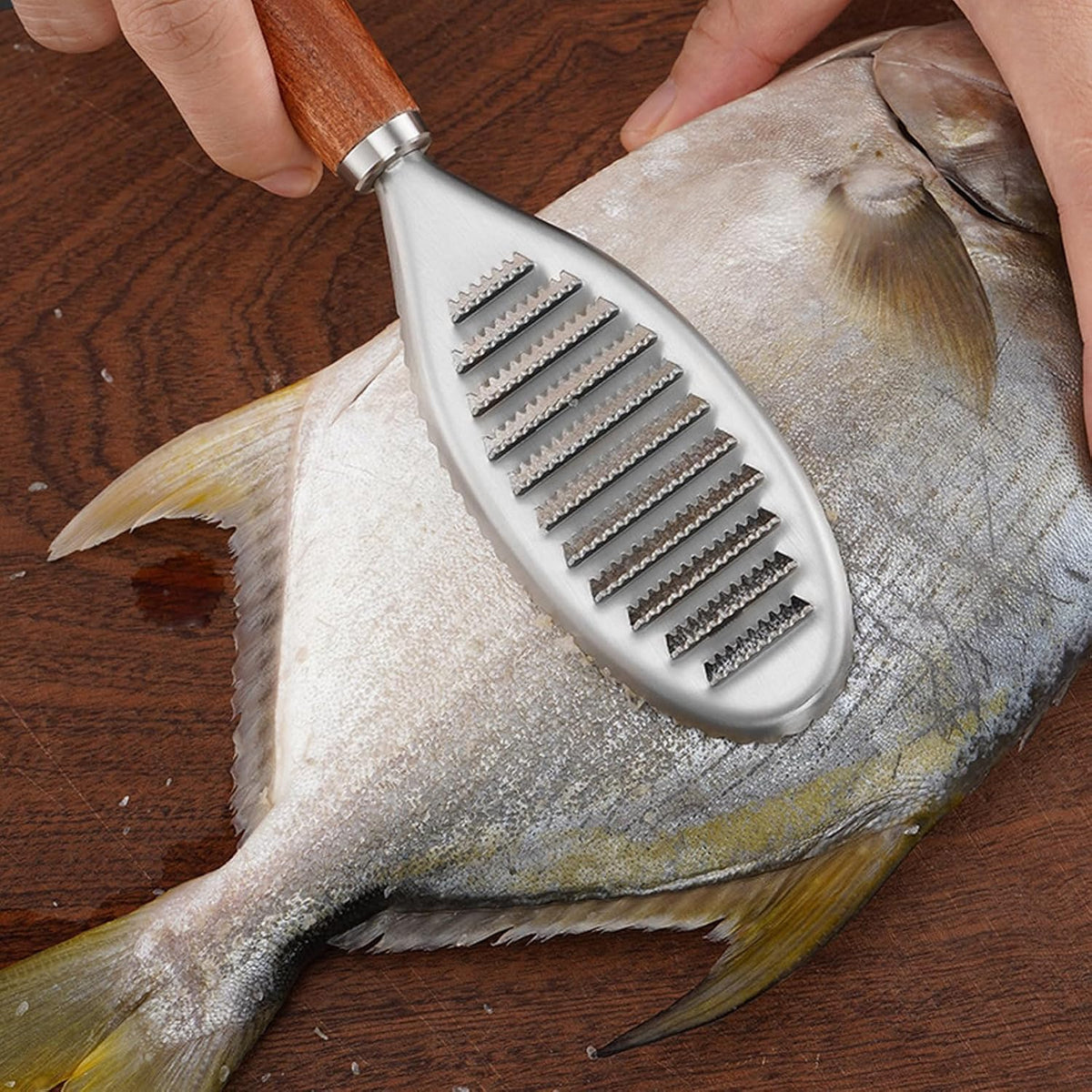 Stainless Steel Fish Scale Remover, Manual Fish Scaler with Wood Handle