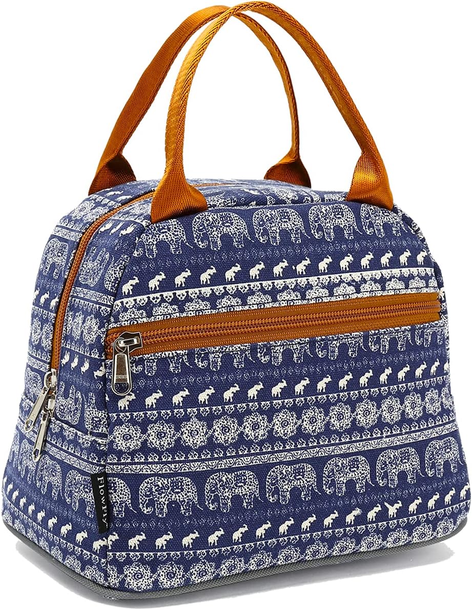 FlowFly Insulated Lunch Cooler Bag - Tote Bag Organizer for Women/Men, Black - Colors B