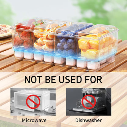 2Pack Chilled Condiment Caddy with 4 Containers 4 Lids Fruit Serving Tray Platter with Handle Portable Snackle Box Organizer Server with Ice Pack for Mimosa Bar Supplies,Salad,Taco,Party Garnish,Beige