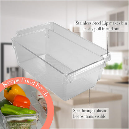 Kitchen Details 2 Pack Medium Refrigerator Storage Bin | Fridge & Freezer | Kitchen Organization | Stainless Steel Handle | Countertop | Cabinets | Pantry | Clear