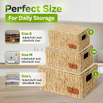 Storage Baskets for Shelves Set of 3, Open-Top Wicker Storage Bins with Handles, Shelf Organizer Baskets for Pantry, Closet & Bathroom, Water Hyacinth Baskets with Tissue Box Cover