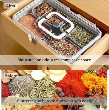Snackle Box Container, Stainless Steel Divided Serving Tray with Lid and Handle, 8 Compartment Portable Snack Platters - Clear Storage Organizer for Fruit Candy Nuts Veggie - Perfect for Travel Party