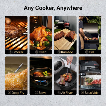Typhur Sync Gold Gen2 Sub-1G Wireless Meat Thermometer with 6 Sensors & LCD