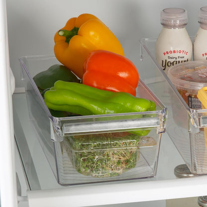 Kitchen Details 2 Pack Medium Refrigerator Storage Bin | Fridge & Freezer | Kitchen Organization | Stainless Steel Handle | Countertop | Cabinets | Pantry | Clear