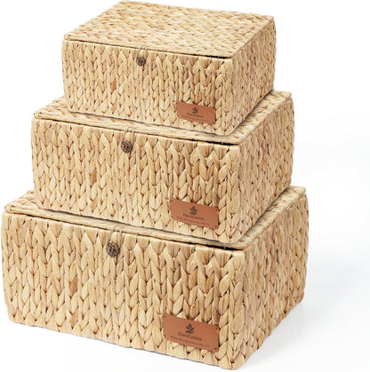 Storage Baskets for Shelves Set of 3, Open-Top Wicker Storage Bins with Handles, Shelf Organizer Baskets for Pantry, Closet & Bathroom, Water Hyacinth Baskets with Tissue Box Cover