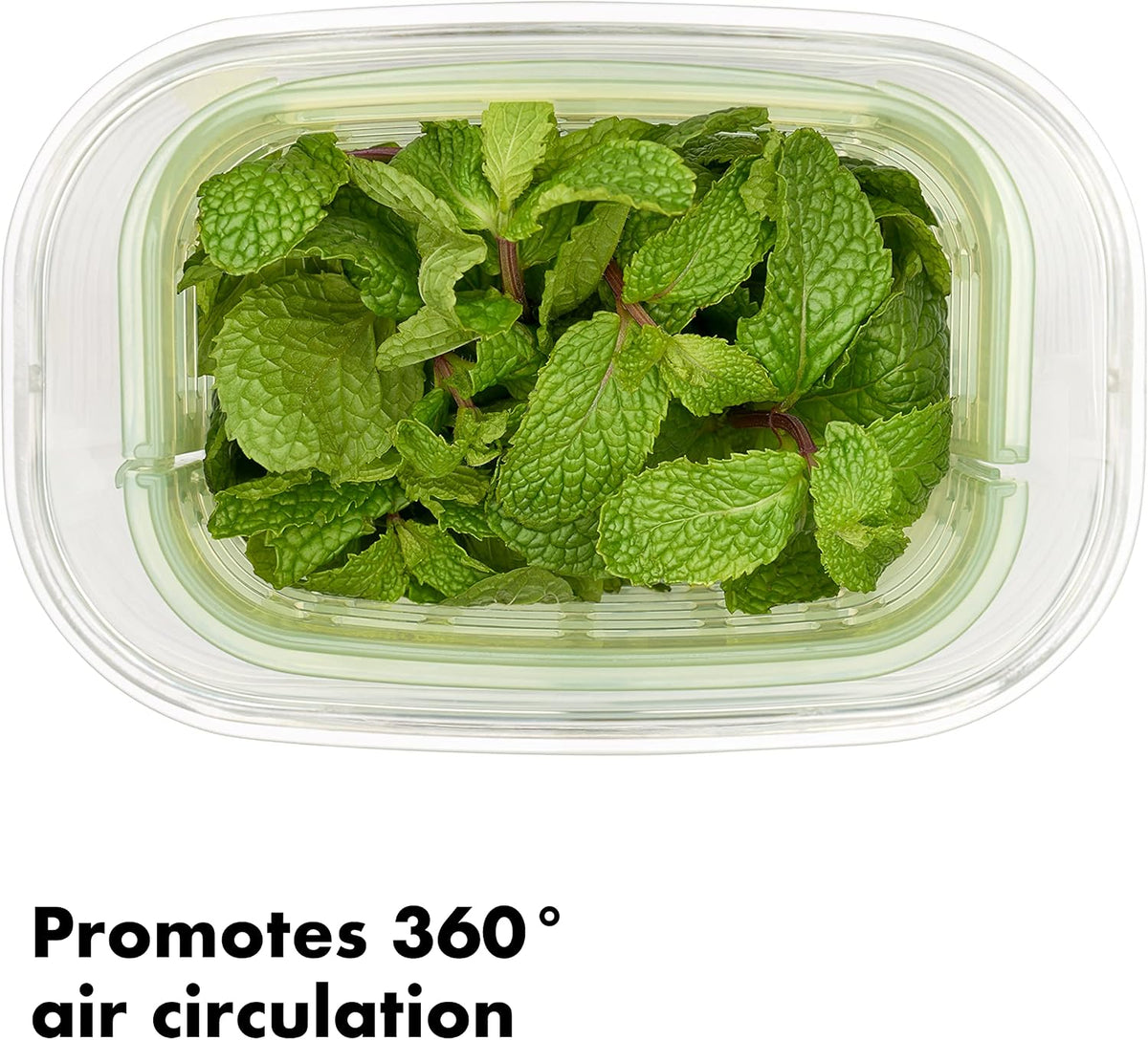 OXO Good Grips GreenSaver Produce Keeper - Large,White