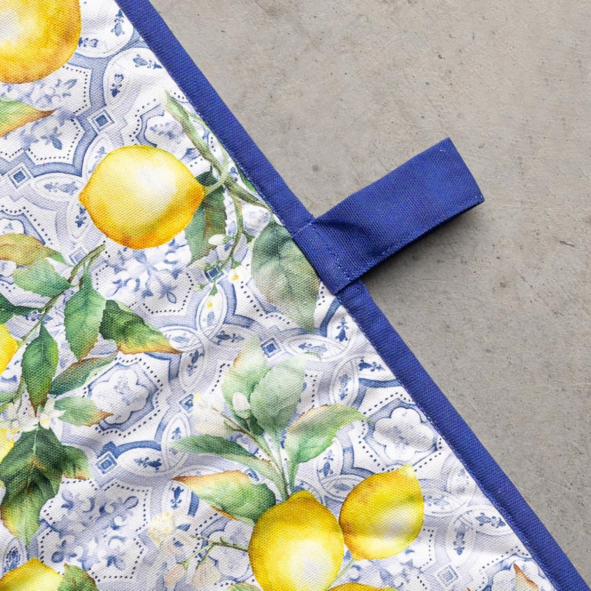 Maison d' Hermine Pot Holders 100% Cotton Potholders (8" x 8") - Colors B