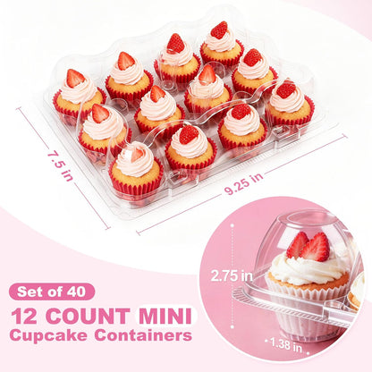 LotFancy (12 Count x 12 Sets) Cupcake Containers with 144 Liners, Thick Plastic Cupcake Boxes Holders, BPA Free, Disposable Cupcake Carrier with Detachable Tall Dome Lid