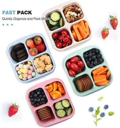 8 Pack Snack Box Container, 4 Compartments Bento Snack Containers for Organized Meal Prep, Reusable Divided Lunch Food Storage Containers for Work, Picnic– Microwave, Dishwasher, Freezer Safe