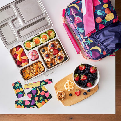 PlanetBox Rover Stainless Steel Bento Box Style Lunch Box Kit for Kids with 5 Compartments – Space Animals Edition includes Insulated Lunch Bag, Leakproof Food Containers and Matching Magnets